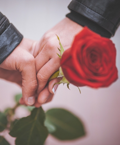 Couple Holding Red Rose>